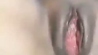 Un Couple Amateur Africain Profite De Sexe Anal Avec Une Grosse Bite