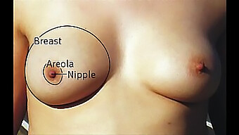 Asshole Closeup Compilation With Big Boobs