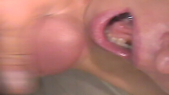 Nice Oral Blowjob With Cim