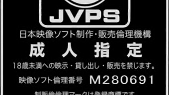 10人の小さなおっぱいの主婦たちがエロティックな快楽を楽しんでいます。