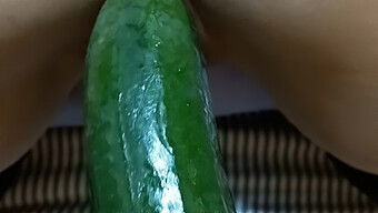 Amateur Latina Slut Takes On A Big Cucumber And More