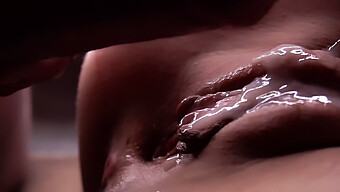 Vagina Fuck And Creampie: A Compilation Of Close-Ups