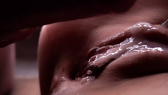 Vagina Fuck And Creampie: A Compilation Of Close-Ups