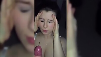 Kompilasi Blowjob Porno Hd Yang Lucu