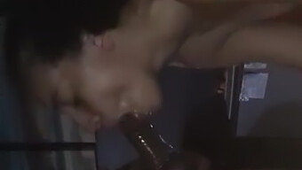 Blowjob Dan Ass Licking Dengan Blacked X